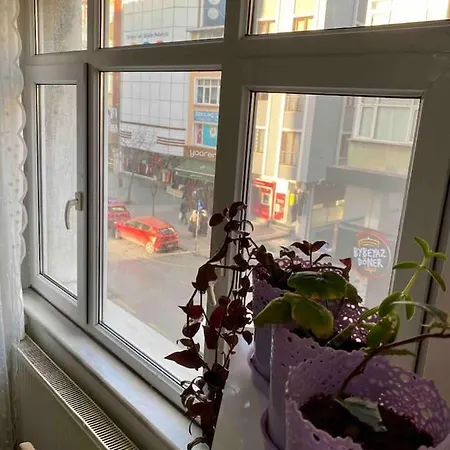 1+1 Apartment Istanbul